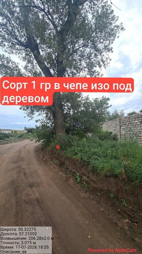 IMG_8726.jpeg