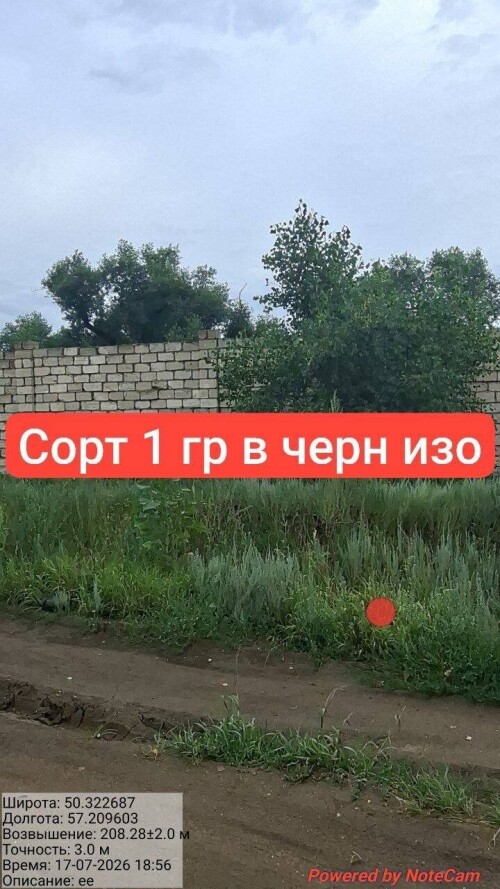 IMG_8728.jpeg