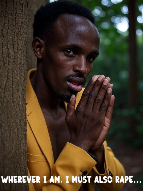 Somalian-rapist-groid.png