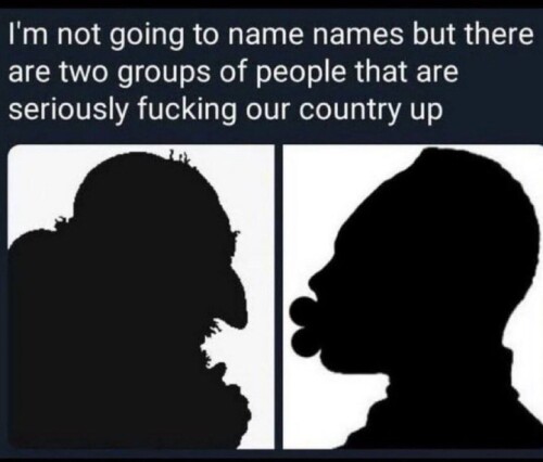 jewish-groid-niggers-big-lips-criminal.jpg