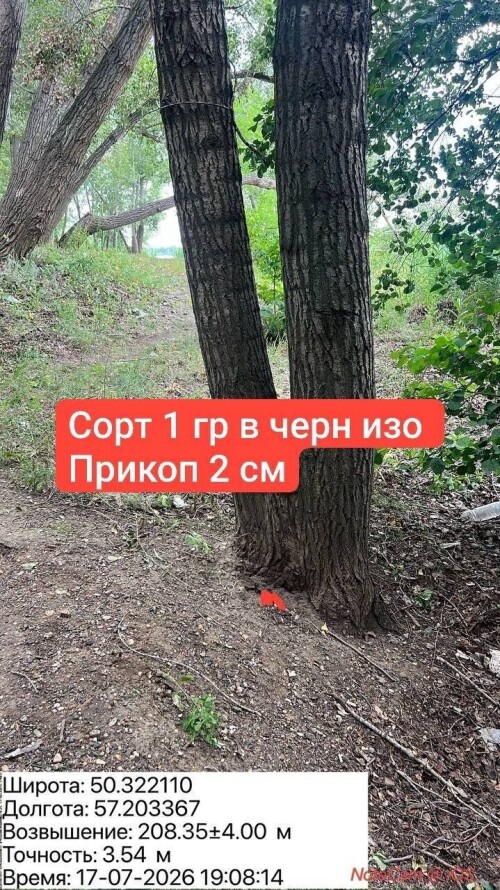 IMG_8732.jpeg