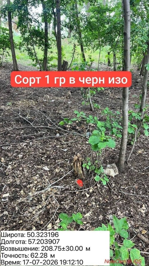 IMG_8733.jpeg