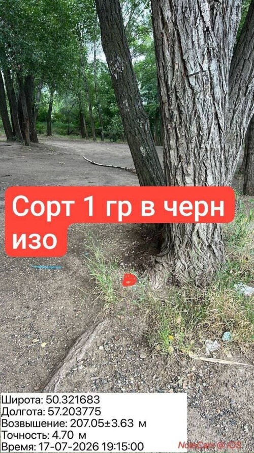 IMG_8734.jpeg