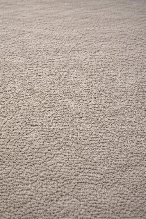 light-grey-z5.webp