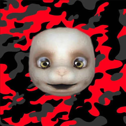 1000275073.jpg