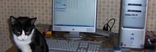 IMG_7218.jpeg