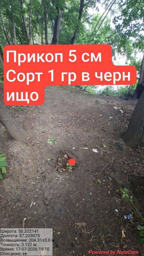 IMG_8752.jpeg